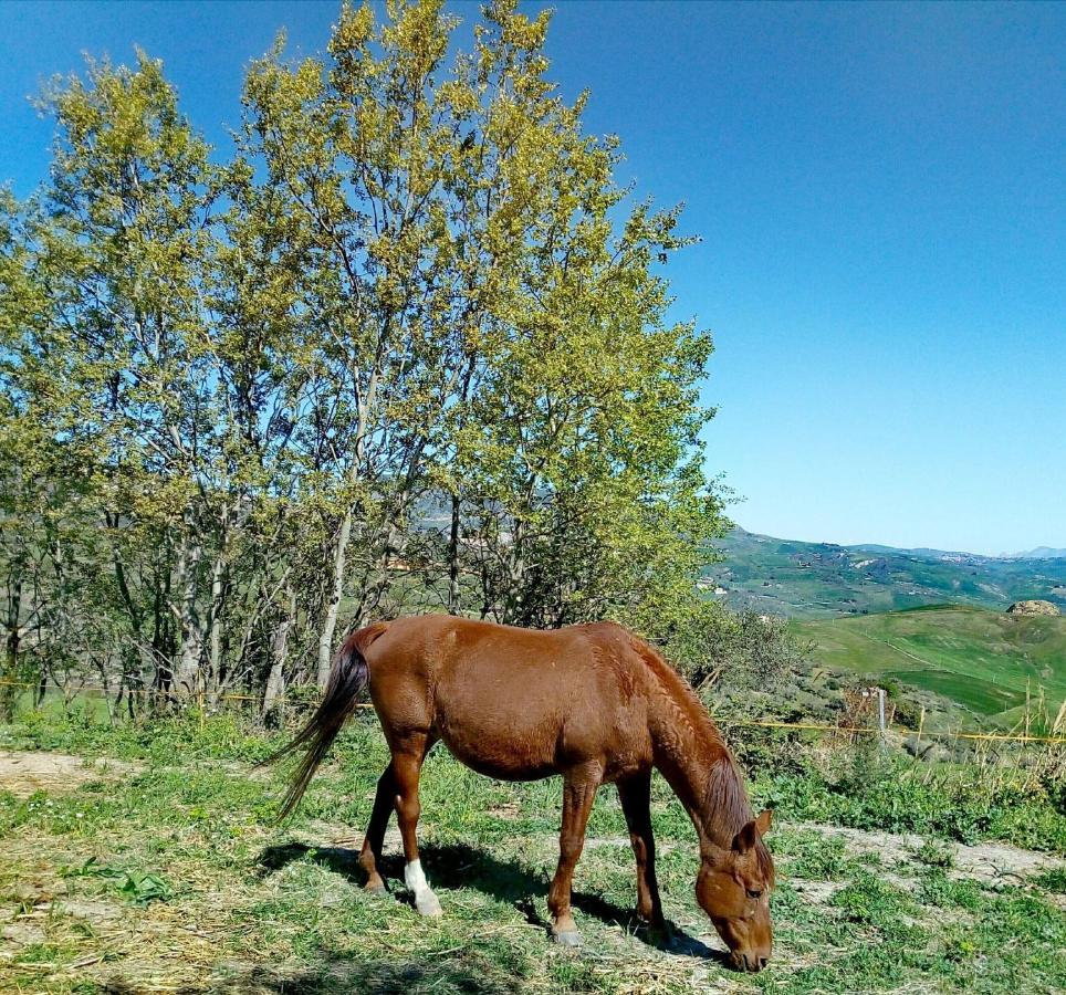 Equiturismo San Lorenzo - Villa Kamara Cammarata Екстер'єр фото